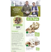Aktueller Marktkauf Prospekt mit Spargel, "Aktuelle Angebote", Seite 34
