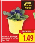 Primel in Zinktopf für 1,49 € bei E center im Angebot Primel in Zinktopf im aktuellen E center Prospekt