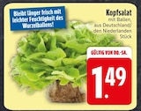 Kopfsalat im EDEKA Prospekt Kopfsalat von im aktuellen EDEKA Prospekt für 1,49 €