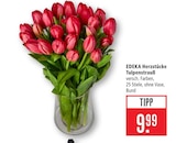 Herzstücke Tulpenstrauß Angebote von EDEKA bei Marktkauf Neu-Ulm für 9,99 €