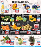 Zucchini im HIT Prospekt in Hildesheim Aktueller HIT Prospekt mit Zucchini, "ECHTE VIELFALT", Seite 2