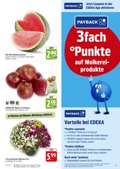 Bio Lebensmittel im EDEKA Prospekt in Mannheim Aktueller EDEKA Prospekt mit Bio Lebensmittel, "Aktuelle Angebote", Seite 5