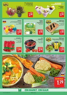 Salat im aktuellen Marktkauf Prospekt (Nürnberg) Salat im Marktkauf Prospekt "AUSWAHL RIESIG, PREISE NIEDRIG" mit 45 Seiten (Nürnberg)
