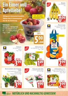 Blumen im E center Prospekt "Top Angebote" mit 36 Seiten (Rostock)