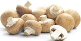 Braune Champignons im Angebot bei nahkauf in Karlsruhe Braune Champignons Angebote von REWE Regional bei nahkauf Karlsruhe für 1,49 €