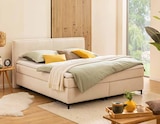 Boxspringbett Blizzard  im aktuellen Segmüller Prospekt für 599,00 €