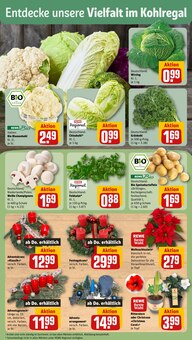 Kerzen im aktuellen REWE Prospekt (Offenbach (Main)) Kerzen im REWE Prospekt "Dein Markt" mit 18 Seiten (Offenbach (Main))