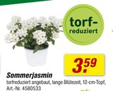 Angebot im toom Baumarkt Mülheim (Ruhr) Prospekt toom Baumarkt Mülheim (Ruhr) Prospekt mit im Angebot für 3,59 €
