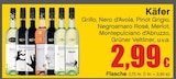 Käfer im Angebot bei RAN in Ludwigsburg Käfer Angebote bei RAN Ludwigsburg für 2,99 €