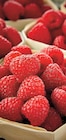 Fruits rouges dans le catalogue Netto