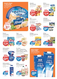 V-Markt Pudding im Prospekt 