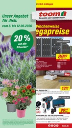 toom Baumarkt Prospekt für Halle: "Respekt, wer's selber macht.", 26 Seiten, 06.06.2026 - 12.06.2026