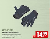 prophete Fahrradhandschuhe im Angebot bei famila Nordost in Buchholz prophete Fahrradhandschuhe Angebote bei famila Nordost Buchholz für 14,99 €