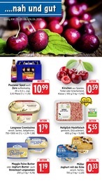Der aktuelle EDEKA Prospekt Aktuelle Angebote