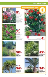 Plantes Angebote im Prospekt "LES PRIX BAS spécial plein air" von Hyper U auf Seite 21