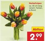 Herbsttulpen im Angebot bei Netto Marken-Discount in Wismar Herbsttulpen Angebote bei Netto Marken-Discount Wismar für 2,99 €