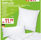 Aktuelles Kopfkissen Angebot bei Marktkauf in Münster ab 11,99 €