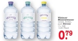 Mineralwasser prickelnd im Angebot bei E center in Baden-Baden Mineralwasser prickelnd Angebote von Vöslauer bei E center Baden-Baden für 0,79 €