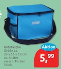 Kühltasche im aktuellen budni Prospekt