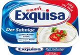 Frischkäsezubereitung XXL im Angebot bei Netto Marken-Discount in Ulm Frischkäsezubereitung XXL Angebote von Exquisa bei Netto Marken-Discount Ulm für 1,49 €