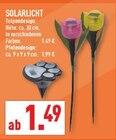 Aktuelle Tulpen Angebote bei Marktkauf in Herne Aktuelles Solarlicht Tulpendesign Angebot bei Marktkauf in Herne ab 1,49 €