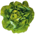 EDEKA Feldberger Seenlandschaft - Ballensalat Mix oder Ballensalat Kopfsalat Angebot im Prospekt Ballensalat Mix oder Ballensalat Kopfsalat bei EDEKA im Feldberger Seenlandschaft Prospekt für 1,29 €