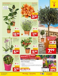 Netto Marken-Discount Discounter Reisen im Prospekt 