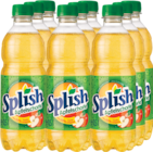 Apfelschorle von Splish für 2,79 € bei Netto mit dem Scottie im Angebot Apfelschorle von Splish im aktuellen Netto mit dem Scottie Prospekt