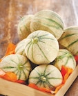 Intermarché Étaux - Promo Melon charentais jaune Promo Melon charentais jaune à 1,59 € dans le catalogue Intermarché à Étaux