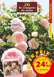 Prospectus Jardineries & Animaleries de Les Compagnons des saisons à Pommeret: "Un cadeau qui dure !", 8 pages, 17/05/2024 - 27/05/2024