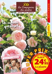 Catalogue Jardineries & Animaleries Les Compagnons des saisons en cours à Le Fœil et alentours, "Un cadeau qui dure !", 8 pages, 17/05/2024 - 27/05/2024