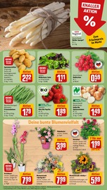 Ähnliche Angebote wie Sonnenblume im Prospekt "Dein Markt" auf Seite 7 von REWE in Frankfurt
