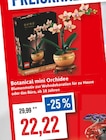 Botanical mini Orchidee Angebote von LEGO bei Kaufhaus Stolz Kiel für 22,22 €