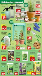 Hochbeet Angebot im aktuellen Thomas Philipps Prospekt auf Seite 5