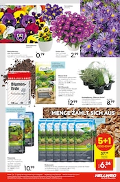 Aktueller Hellweg Prospekt mit Blumen, "Ihr Projekt im Herbst!", Seite 23