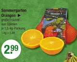 Orangen von Sommergarten im aktuellen V-Markt Prospekt für 2,99 €