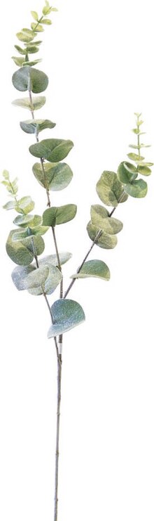 Feuillage eucalyptus artificiel de 84 cm - Géant Casino à Paris Feuillage eucalyptus artificiel de 84 cm en promo chez Géant Casino Paris à 5,90 €