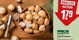 Aktuelles Braune Bio Champignons Angebot bei REWE in Essen ab 1,79 €