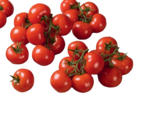 Aktuelles Strauchtomaten Angebot bei tegut in Frankfurt (Main) ab 2,99 €