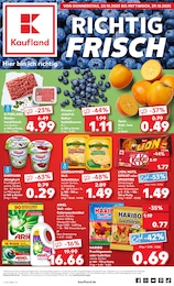 Aktueller Kaufland Prospekt (Westerheim, Unterallgäu) Kaufland Prospekt mit 61 Seiten (Westerheim, Unterallgäu)