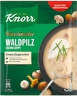 Feinschmecker von Knorr im aktuellen Netto mit dem Scottie Prospekt für 0,89 €