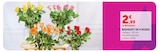 U Express Plerguer - Promo Bouquet de 9 roses Promo Bouquet de 9 roses à 2,99 € dans le catalogue U Express à Plerguer