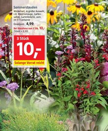 Sommerstauden bei BAUHAUS in Essen Sommerstauden im Angebot bei BAUHAUS Essen für 4,99 €