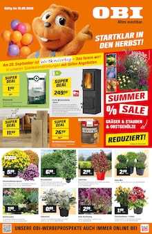 Blumenerde im OBI Prospekt "STARTKLAR IN DEN HERBST!" mit 4 Seiten (Erfurt)
