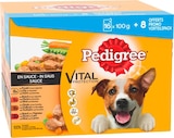 Pâtés fraicheur pour chiens en sauce - PEDIGREE dans le catalogue Carrefour