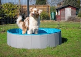 Hundespielzeug Plüschtier Bär im Angebot bei REWE in Sankt Augustin Hundespielzeug Plüschtier Bär Angebote von ZooRoyal bei REWE Sankt Augustin für 5,99 €