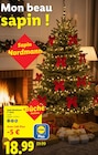 Sapin Nordmann 1er choix en promo chez Lidl Sapin Nordmann 1er choix dans le catalogue Lidl