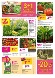 Prix et réduction Plante Aromatique dans le prospectus Delbard en cours Offre Plante Aromatique dans le catalogue Delbard du moment à la page 2