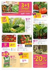 Tomate en promo dans le catalogue Delbard à la page 2