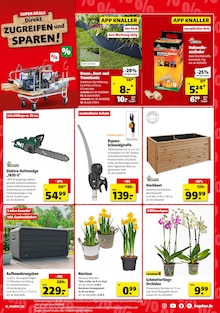 Zimmerpflanzen im Hagebaumarkt Prospekt "So günstig geht das!" mit 8 Seiten (Hamburg)